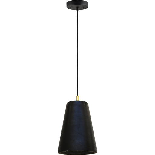 Falla Black Waxed Concrete and Brass Ceiling Pendant Light - Oclion.com