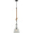 Casidey Oil Rubbed Bronze Ceiling Pendant Light - Oclion.com