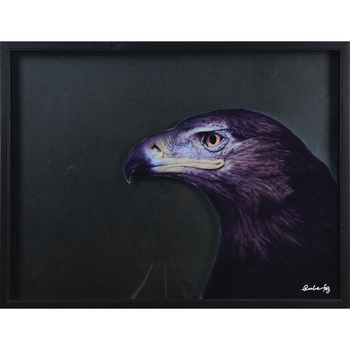 Noah Glossy Framed Wall Decor - Oclion.com