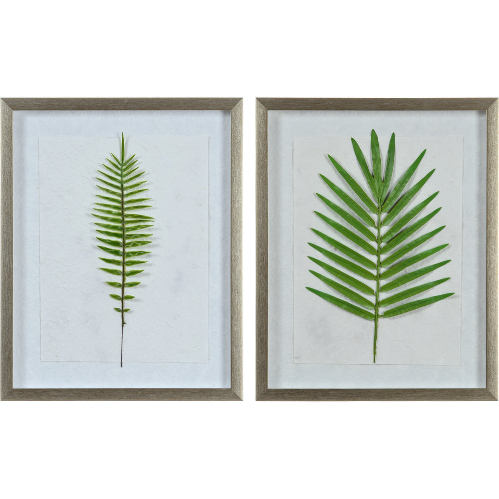 Bayard 2-Piece Set of Paper & Glass Finish with Champagne Plastic Dry Leaf Framed Wall Art - Oclion.com