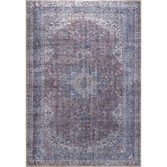 Dante Blue Multi Color Flatwoven & Printed Indoor Area Rug - Oclion.com